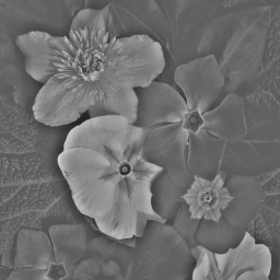 Output image