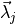 \vec{\lambda}_j